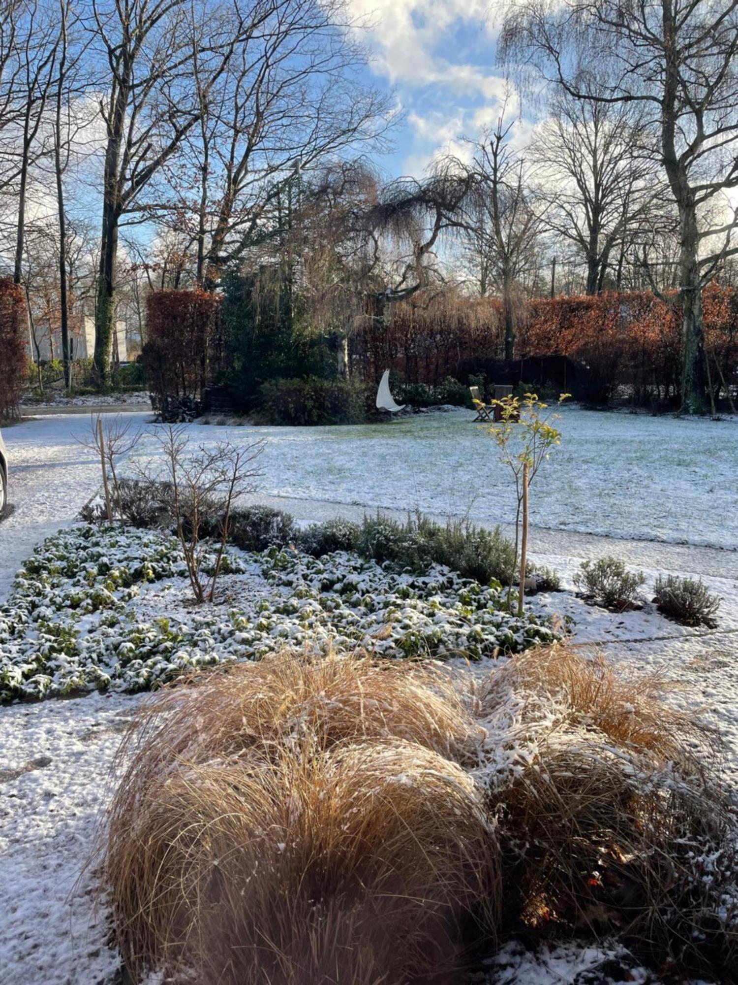 De Graslelie Appartement Schoten Buitenkant foto
